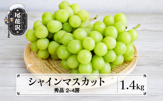 シャインマスカット 秀品 約1.4kg以上 (2～4房程度) 山形県産 フルーツ 果物 くだもの ぶどう 葡萄 ブドウ 令和8年産 2026年産 佐竹物産 sb-busmx1400-b