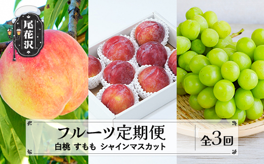 【先行予約】フルーツ定期便 全3回 白桃 すもも シャインマスカット 秀品 2026年8月上旬頃~発送開始 2026年産 令和8年産 佐竹物産 ※沖縄・離島への配送不可 sb-fthps3-b 全3回(白桃 すもも シャインマスカット)：寄附額28,000円