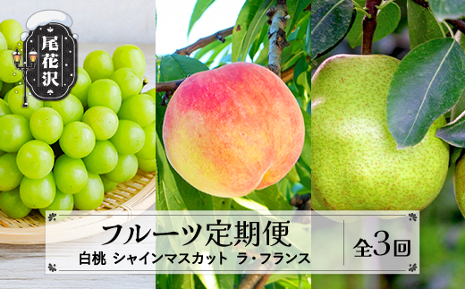 【先行予約】 フルーツ定期便 全3回 白桃 シャインマスカット ラ・フランス 秀品 2026年9月上旬頃~発送開始 2026年産 令和8年産 佐竹物産 ※沖縄・離島への配送不可 sb-fthsl3-b 全3回(白桃 シャインマスカット ラ・フランス)：寄附額28,000円