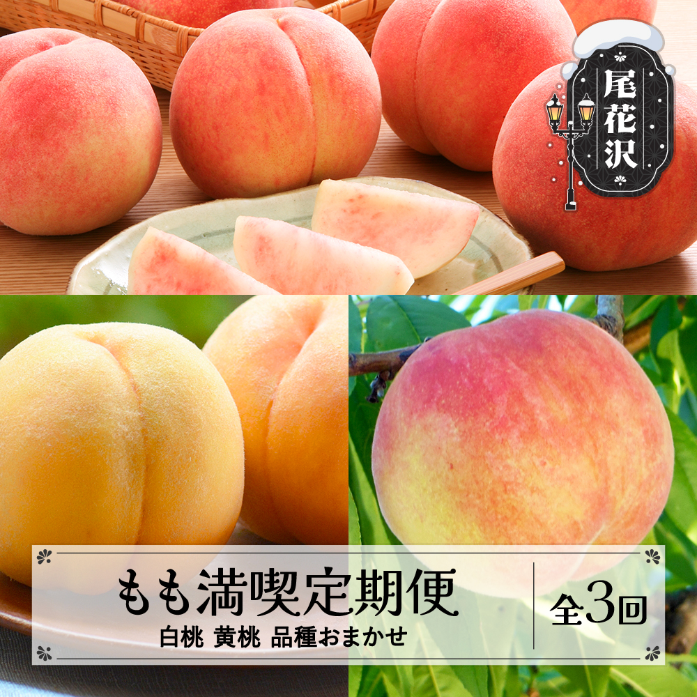 【先行予約】 フルーツ定期便 全3回 もも満喫定期便 白桃 黄桃 品種おまかせ 秀品 2026年8月上旬頃~発送開始 2026年産 令和8年産 佐竹物産 ※沖縄・離島への配送不可 sb-ftmox3-b 全3回(もも食べ比べ)：寄附額28,000円