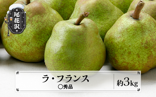 先行予約 ラ・フランス ◯秀品 約3kg(6~12個程度) 11月中旬~12月中旬頃発送 山形県産 フルーツ 果物 くだもの ラフランス 洋梨 西洋梨 令和8年産 2026年産 佐竹物産 sb-lamsx3-b 令和8年産 ◯秀品  約3kg(寄附額10,000円)