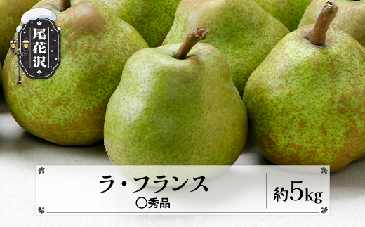 先行予約 ラ・フランス ◯秀品 約5kg(12~20個程度) 11月中旬~12月中旬頃発送 山形県産 フルーツ 果物 くだもの ラフランス 洋梨 西洋梨 令和8年産 2026年産 佐竹物産 sb-lamsx5-b 令和8年産 ◯秀品 約5kg(寄附額12,000円)