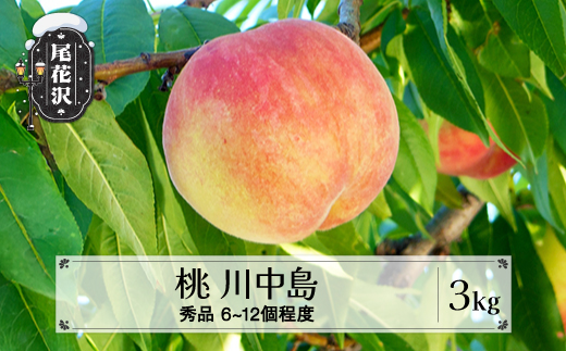 先行予約  桃 川中島白桃 秀品 約3㎏ (6～12個程度) 8月中旬~9月中旬頃発送 山形県産 フルーツ 果物 くだもの もも モモ 令和8年産 2026年産 佐竹物産 ※沖縄・離島への配送不可  sb-moknx3