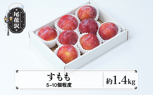 先行予約 すもも 秋姫 果物 秀品 約1.4kg (5~10個程度) 9月中旬~10月上旬頃発送 山形県産 フルーツ 果物 くだもの スモモ 李 もも モモ 令和8年産 2026年産 佐竹物産 送料無料 sb-plahx1400-b ※沖縄・離島への配送不可