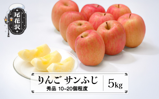 先行予約 りんご サンふじりんご 5kg (10～20個程度) 秀品 11月中旬~12月中旬頃発送 令和8年産 2026年産 山形県産  フルーツ 果物 佐竹物産 sb-risfx5-b