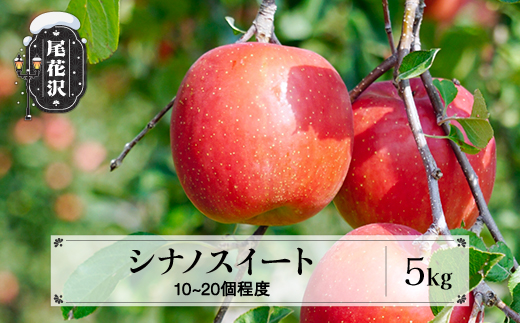 先行予約 りんご シナノスイート 5kg (10～20個程度) 秀品 10月中旬~11月中旬頃発送 令和8年産 2026年産 山形県産  フルーツ 果物 佐竹物産 sb-rissx5-b
