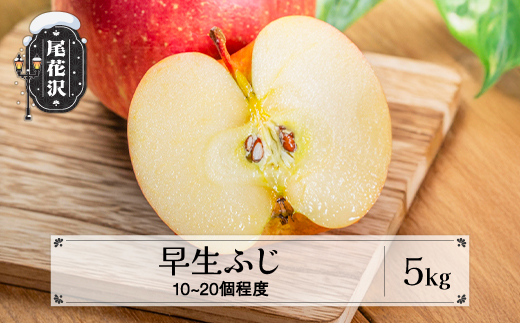先行予約 りんご 早生ふじりんご 5kg (10～20個程度) 秀品 9月下旬~10月下旬頃発送令和8年産 2026年産 山形県産  フルーツ 果物 佐竹物産 sb-riwfx5-b