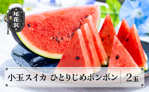 先行予約 尾花沢 小玉スイカ ひとりじめBonBon 2玉 秀品  7月中旬～8月上旬頃発送 2026年産 令和8年産 佐竹物産 sb-sukbx2 小玉2玉（寄附額10,000円）