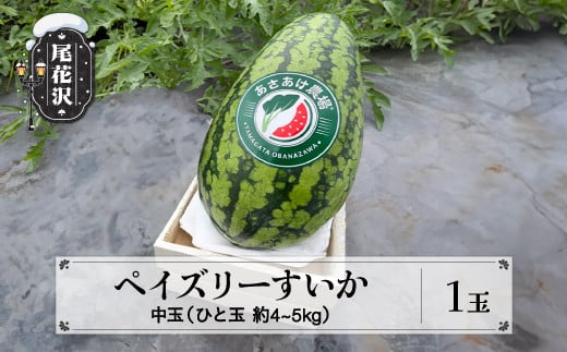 先行予約 尾花沢産 ペイズリーすいか 約4~5kg×1玉 令和8年産 2026年産 7月中旬~8月中旬頃発送 山形 中玉 スイカ すいか 西瓜 果物 くだもの フルーツ 数量限定 ぺいずりー 送料無料 あさあけ農場 お中元 ギフト 贈答 an-supsx1 ※沖縄・離島への配送不可