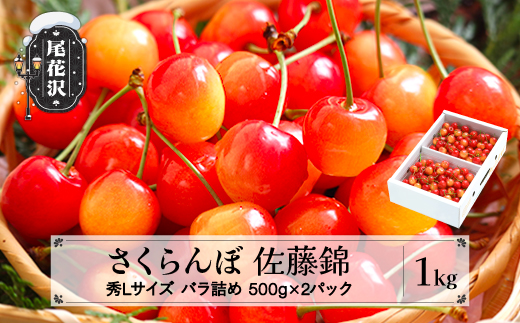 先行予約 さくらんぼ 佐藤錦 秀Lサイズ 1kg(500g×2パック)  バラ詰め プレゼント ギフ 2026年産 令和8年産 山形県産 ns-snslb1