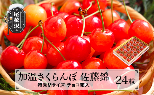 先行予約 加温 さくらんぼ 佐藤錦 特秀Mサイズ 24粒 120g 5月上旬~5月下旬頃発送 プレゼント ギフト チョコ箱入 2026年産 令和8年産 ハウス ハウス栽培 山形県産 ns-sntmc24 特秀M 120g（寄附額12,000円）