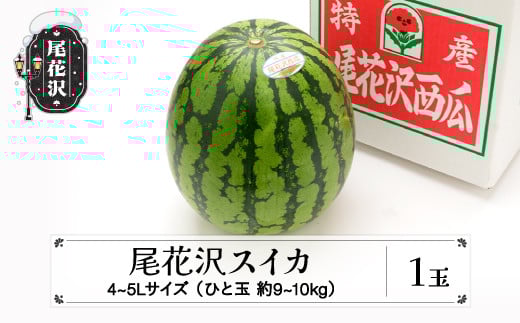 先行予約 尾花沢スイカ 4~5Lサイズ(約9~10kg)×1玉 7月下旬~8月中旬頃発送 令和8年産 2026年産 東根農産センター すいか 西瓜 ※沖縄・離島への配送不可 ns-su45x1 4~5Lサイズ1玉（寄附額13,000円）