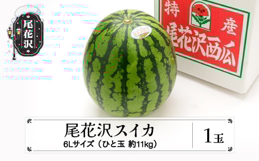 先行予約 尾花沢スイカ 6Lサイズ(約11kg)×1玉 7月下旬~8月中旬頃発送 令和8年産 2026年産 東根農産センター すいか 西瓜 ※沖縄・離島への配送不可 ns-su6xx1 6Lサイズ1玉（寄附額15,000円）