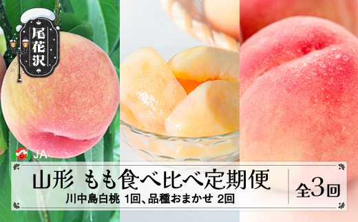 先行予約 全3回 山形もも食べ比べ定期便 秀品 7月下旬頃~発送 令和8年産 2026年産 山形県産 白桃 モモ 果物 フルーツ 送料無料 沖縄・離島への配送不可 JA ja-ftmox-b