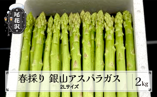 春採り 銀山アスパラガス 2Lサイズ 2kg 2026年産 令和8年産 山形県尾花沢市 アスパラ アスパラガス 銀山アスパラ グリーンアスパラガス nk-vga2x2