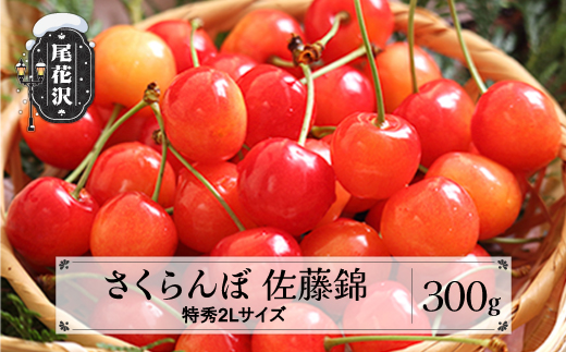 先行予約 さくらんぼ 佐藤錦 特秀2Lサイズ 300g 贈答用 化粧箱入 プレゼント ギフト 令和7年産 2025年産 山形県産 ns-snt2x300