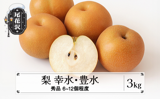 先行予約 梨 品種おまかせ 秀品 約3kg (6〜12個程度) 9月上旬~下旬頃発送 山形県産 フルーツ 果物 くだもの なし 和梨 令和8年産 2026年産 佐竹物産 ※沖縄・離島への配送不可 sb-nahkx3-b