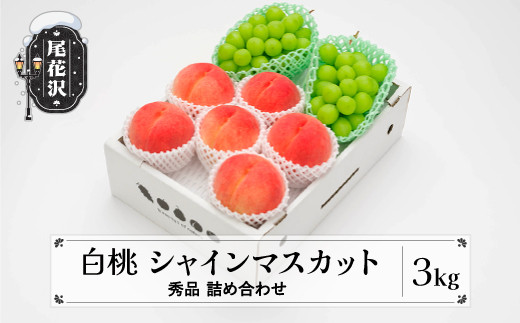 先行予約 白桃 シャインマスカット 秀品 詰め合わせ 3kg 2025年産 令和7年産 山形県産 送料無料 もも ぶどう 果物 フルーツ ※沖縄・離島への配送不可 ns-fshsx3