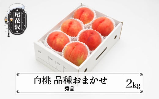 先行予約 もも 白桃 秀品 品種おまかせ 2kg 化粧箱入 2025年産 令和7年産 山形県産 送料無料 桃 ns-mohtx2