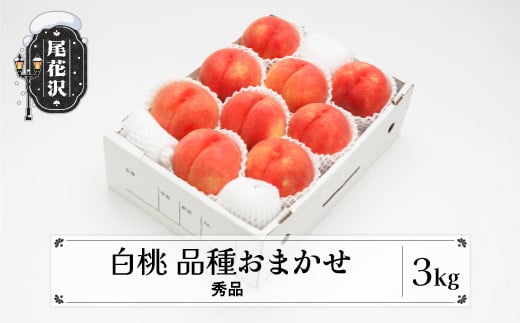 先行予約 もも 白桃 秀品 品種おまかせ 3kg 化粧箱入 2025年産 令和7年産 山形県産 送料無料 桃 ns-mohtx3