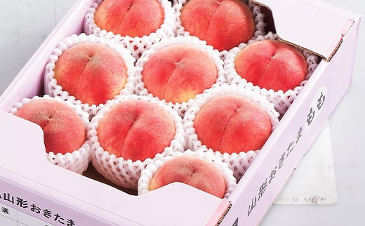 【令和8年産先行予約】 JA もも 「川中島」 約3kg (8～11玉) 化