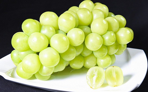 【令和8年産先行予約】 シャインマスカット 約1.2kg (1～3房 
