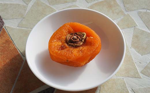 果樹園生まれの 常温乾燥機で作る 「陽果ドライ まるごと