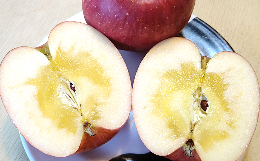 【令和7年産先行予約】 雪んこ 完熟ふじりんご 約10kg バラ