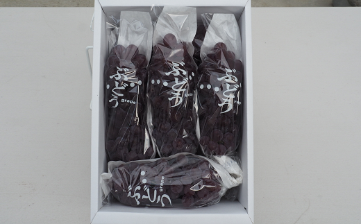 【令和8年産先行予約】 朝どりデラウェア 1箱 (5房前後入り)