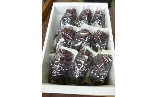 【令和8年産先行予約】 朝どりデラウェア 1箱 (9房前後入り)