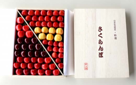 【令和8年産先行予約】 さくらんぼ 6種詰合せ 約700g (特選 