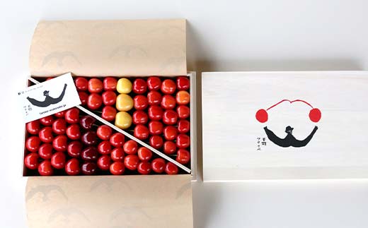 【令和8年産先行予約】 さくらんぼ 6種詰合せ 約500g (特選 