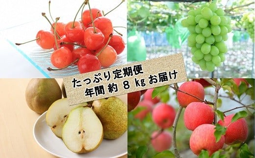 【令和8年産先行予約】 《定期便3回》 くだもの”たっぷり