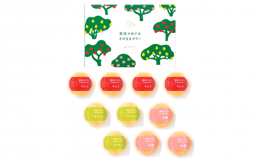 【日本の極み】 果実のめぐみそのままゼリー 3種 「りんご