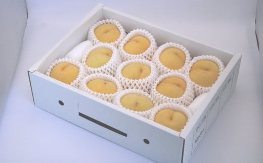 【令和8年産先行予約】 黄桃 「黄ららのきわみ」 約3kg (9～1