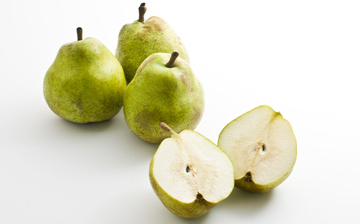 【令和7年産先行予約】 〈訳あり品 家庭用〉 ラ・フランス 