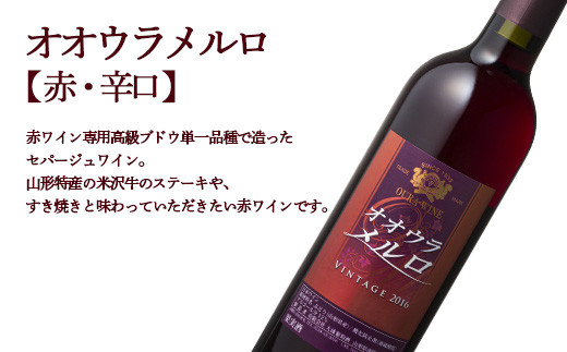 大浦葡萄酒 オオウラメルロ ＆ ファインドライ甲州 (各720ml