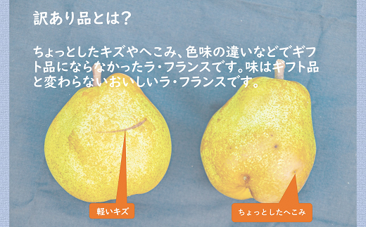 【令和7年産先行予約】 〈訳あり品 家庭用〉 ちょっと訳あ