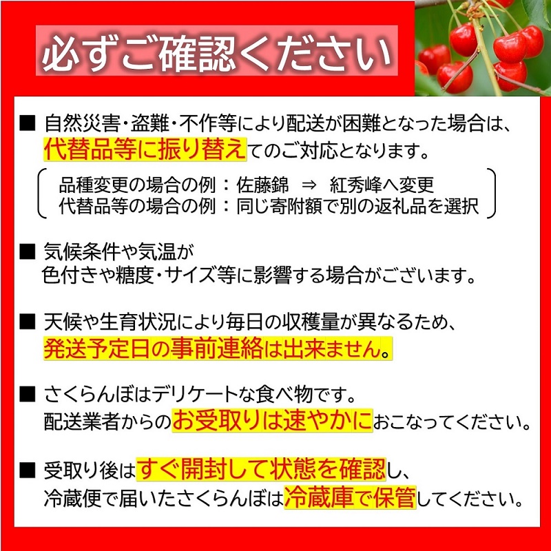 【令和7年産先行予約】 《定期便6回》 果樹王国山形 南陽の