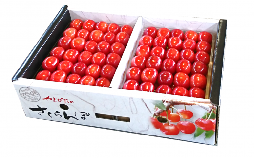 【令和8年産先行予約】 厳選品！手詰め さくらんぼ 「佐藤