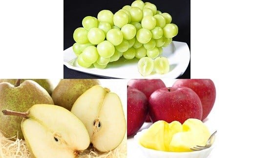 【令和8年産先行予約】 《定期便3回》 秋冬フルーツ定期便 