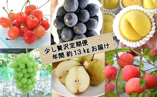 【令和8年産先行予約】 《定期便6回》 くだもの”少し贅沢