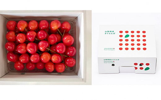 【令和8年産先行予約】 さくらんぼ 「佐藤錦または紅秀峰