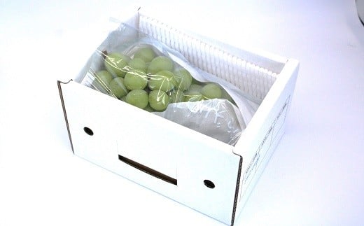 【令和8年産先行予約】 シャインマスカット 600g以上 (1房 秀