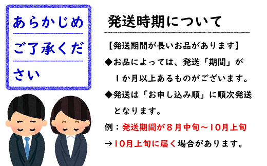 【令和8年産先行予約】 硬めの白桃 約3kg (6～15玉 秀) 《令和