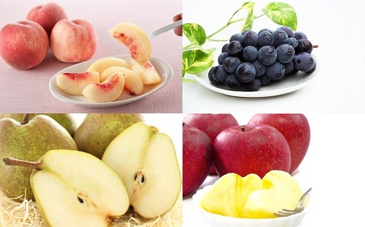 【令和8年産先行予約】 《定期便4回》 家庭で楽しむフルー