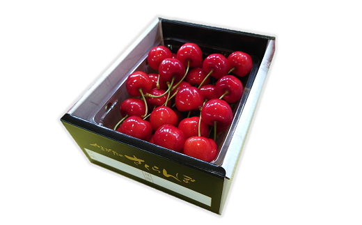 【令和8年産先行予約】 さくらんぼ 「紅秀峰」 約500g (特秀 
