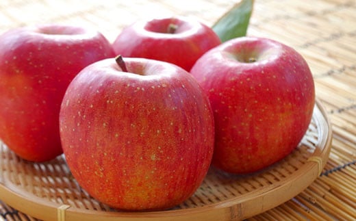 【令和8年産先行予約】 JA りんご 高徳 約1.8kg (6～10玉 秀以