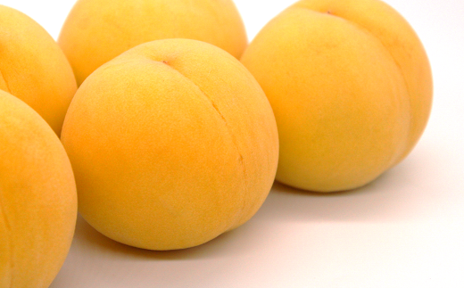【令和8年産先行予約】 黄桃 「黄ららのきわみ」 約2kg (6～1
