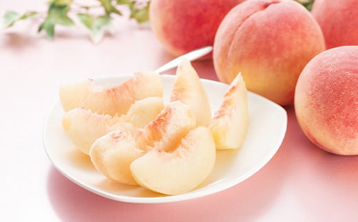 【令和7年産先行予約】 《定期便4回》 JA 夏秋冬人気フルー